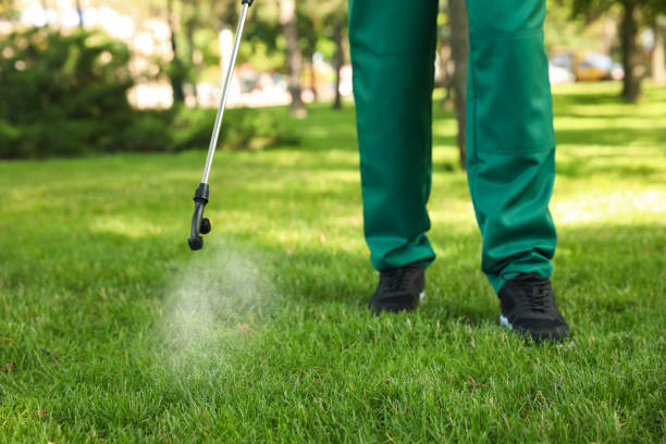 Best Exterminator Services  in Walnut Cove, NC