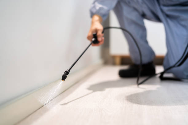 Flea Control Services in Walnut Cove, NC